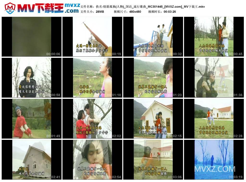 佚名-情愿孤独(人物)_国语_流行歌曲_MC301445